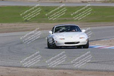 media/Jan-29-2023-Speed Ventures (Sun) [[795e55dca5]]/Yellow/Cotton Corners/